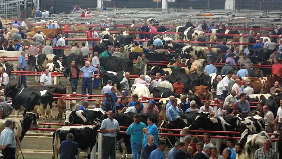 Mercado de Ganados de Torrelavega | Foto de archivo