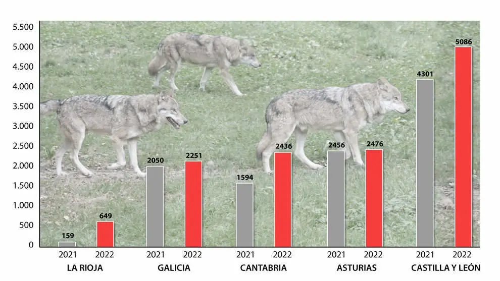 Gr&aacute;fico comparativo de los ataques de lobos en un a&ntilde;o