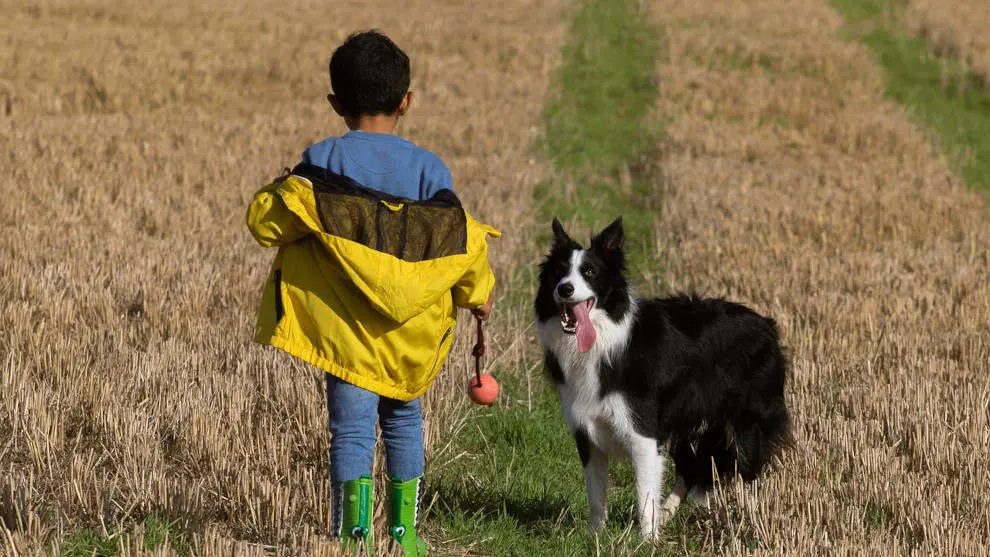 Un ni&ntilde;o con su perro