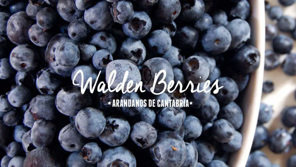  Esta actividad te propone una manera de diferente de llevarte los ar&aacute;ndanos a casa