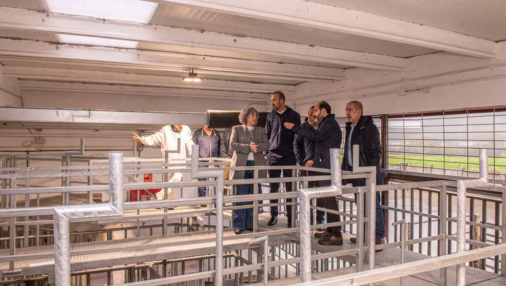 Nueva cuadra del Matadero de Torrelavega