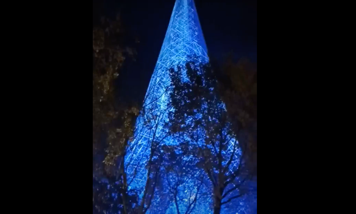 &Aacute;rbol de Navidad de Cartes