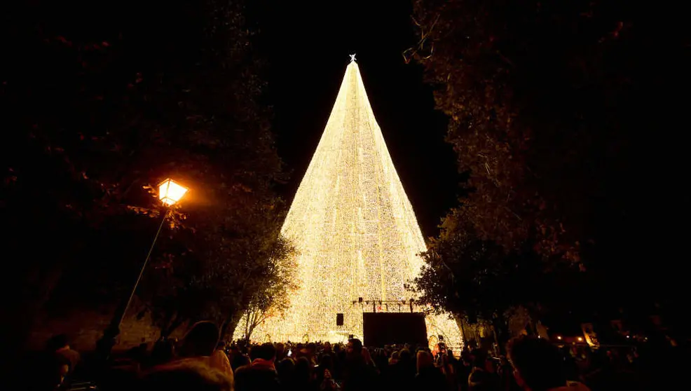 &Aacute;rbol de Navidad de Cartes
