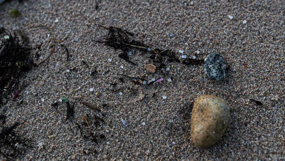 Restos de los micropl&aacute;sticos