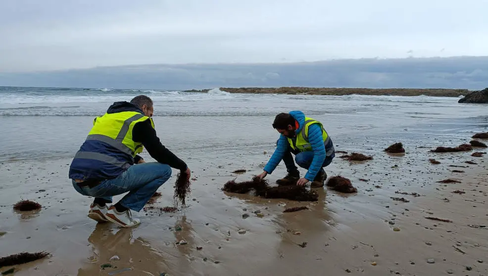 T&eacute;cnicos rastreando la playa de Pech&oacute;n para comprobar la presencia de pellets