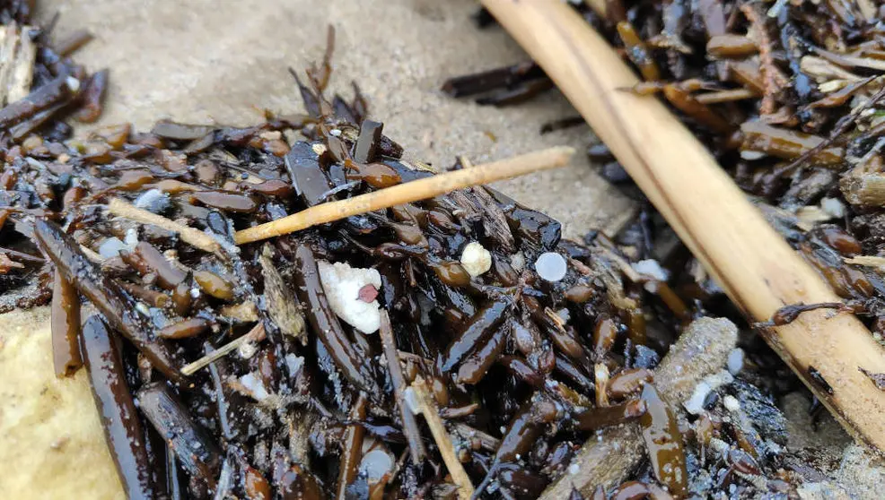 Pellets en la playa de La Virgen del Mar en Santander | Foto- edc