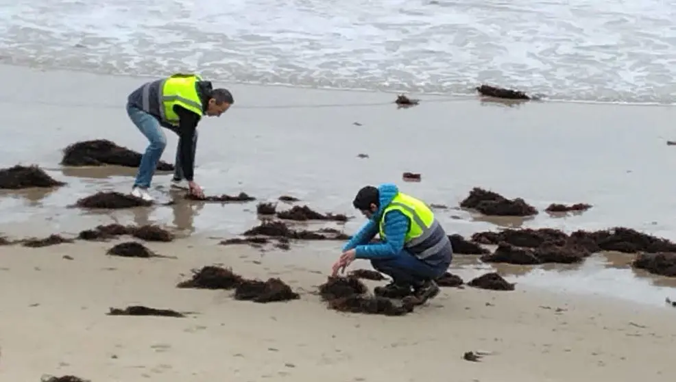 Agentes del Servicio de Vigilancia Ambiental de la Consejer&iacute;a de Medio Ambiente del Gobierno de Cantabria inspeccionando la llegada de p&eacute;lets a una playa
