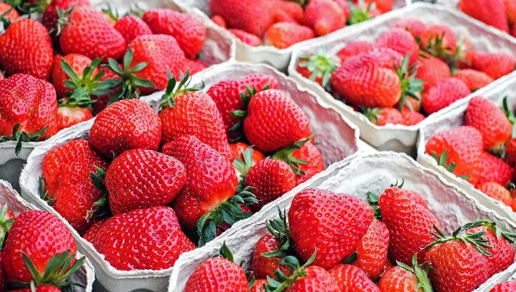 El brote de hepatitis A en fresas y frambuesas es un bulo