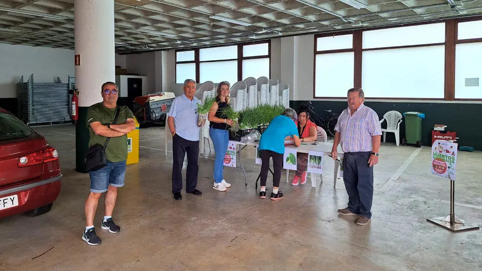 Reparto de &aacute;rboles en Polanco