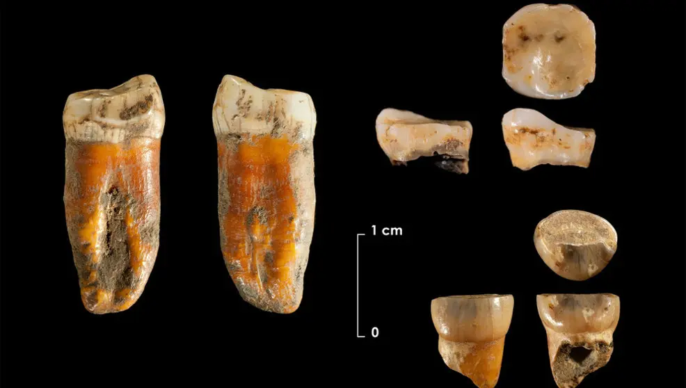 Restos neandertales de hace 100.000 a&ntilde;os en el yacimiento de Axlor