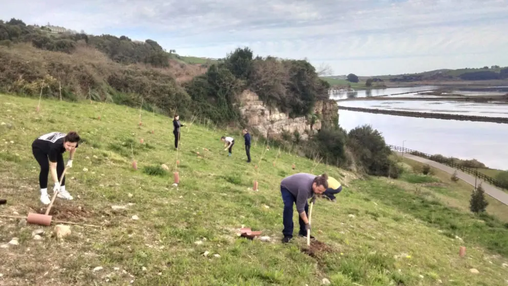 Voluntarios plantan 180 &aacute;rboles en la r&iacute;a de San Mart&iacute;n, en Suances