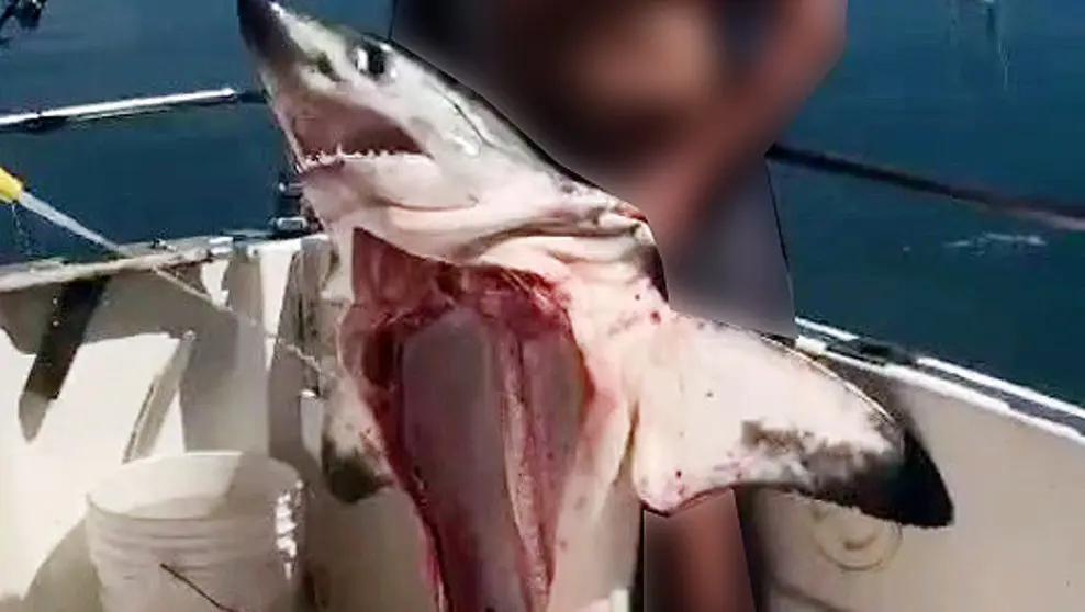 Captura del v&iacute;deo