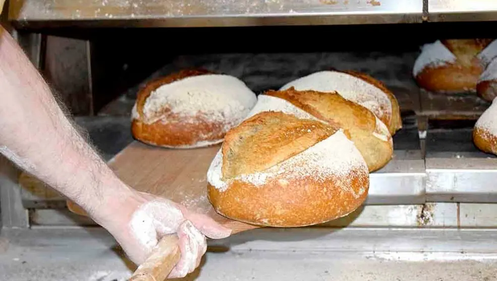 Panader&iacute;a