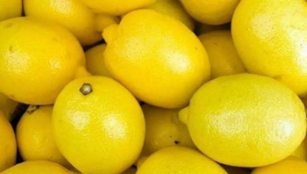 Limones