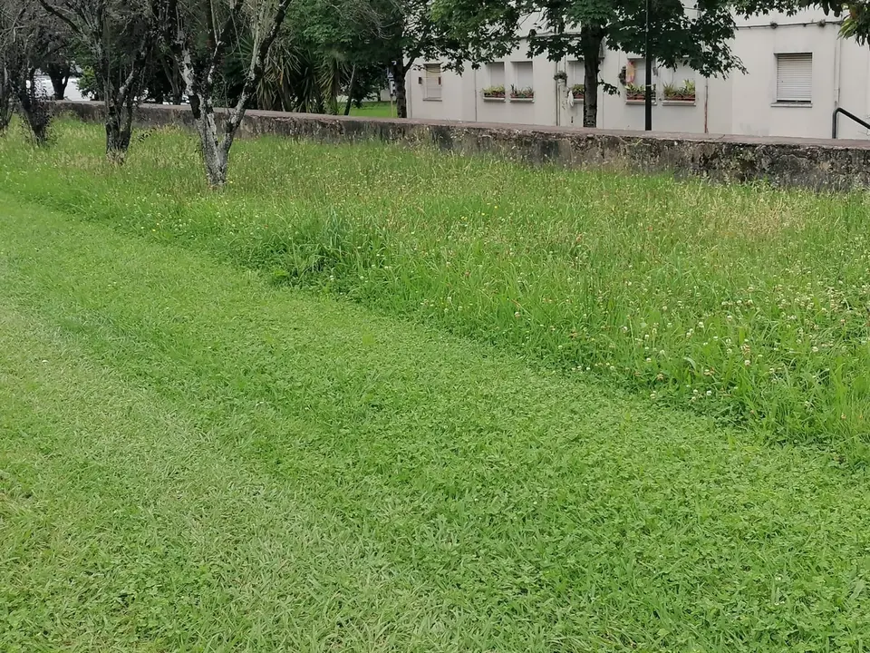 Programa de gesti&oacute;n diferencial de siegas