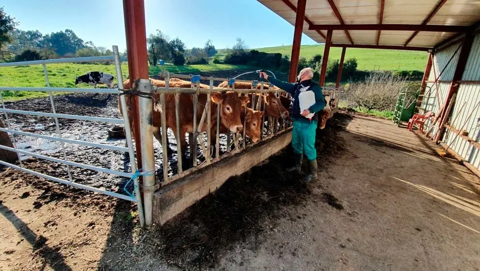 Explotaci&oacute;n ganadera