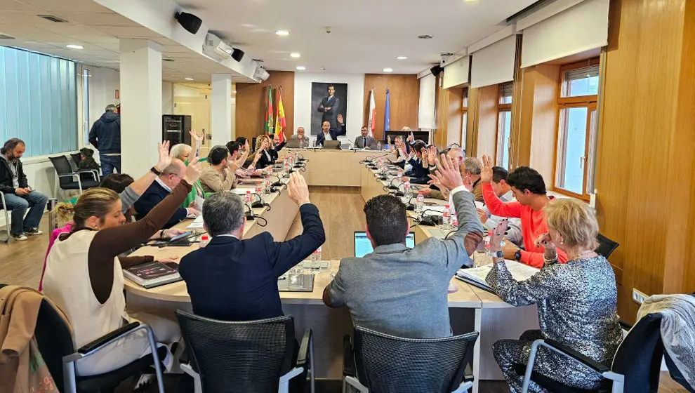 Pleno de Torrelavega