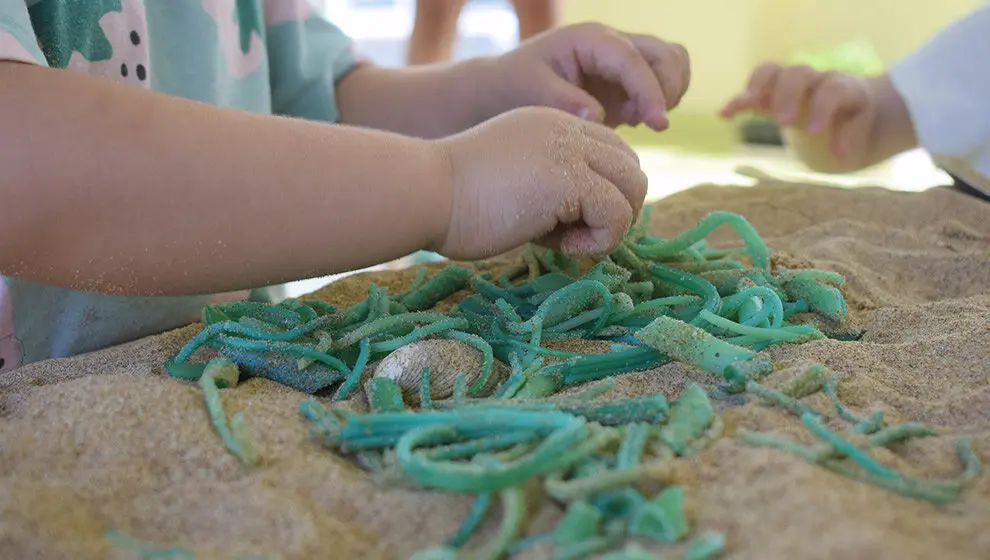 Actividad de guarder&iacute;a