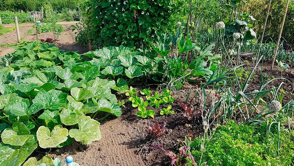Huertos de Torrelavega