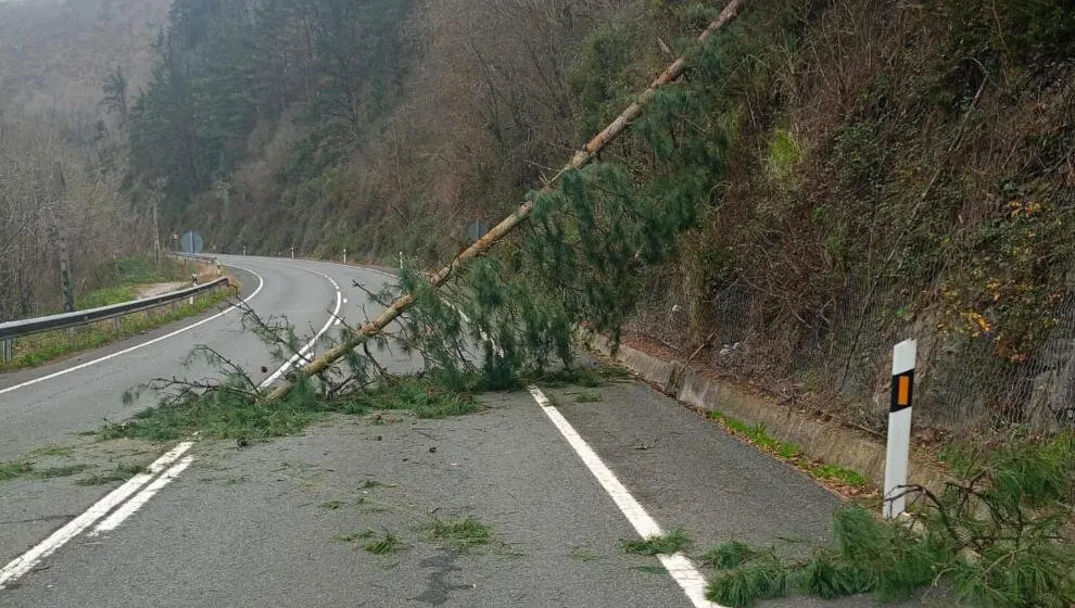 &Aacute;rbol sobre una carretera por el fuerte viento en Cantabria