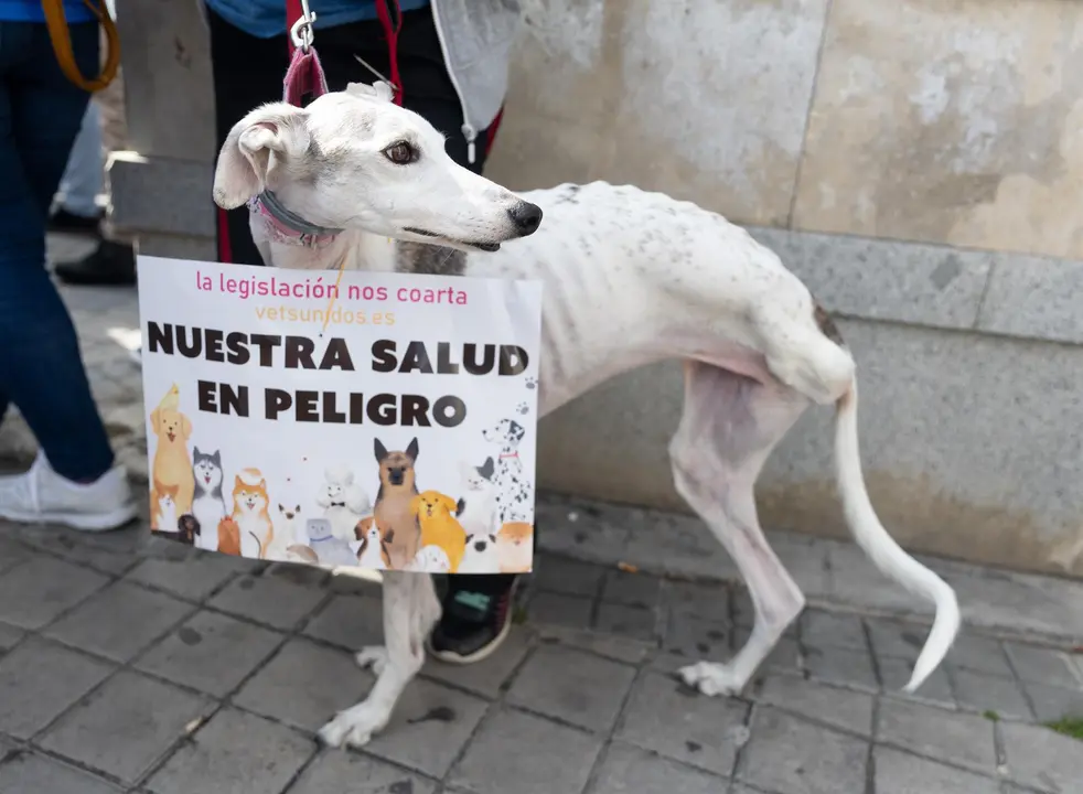Un perro durante una manifestación contra la legislación sobre medicamentos veterinarios