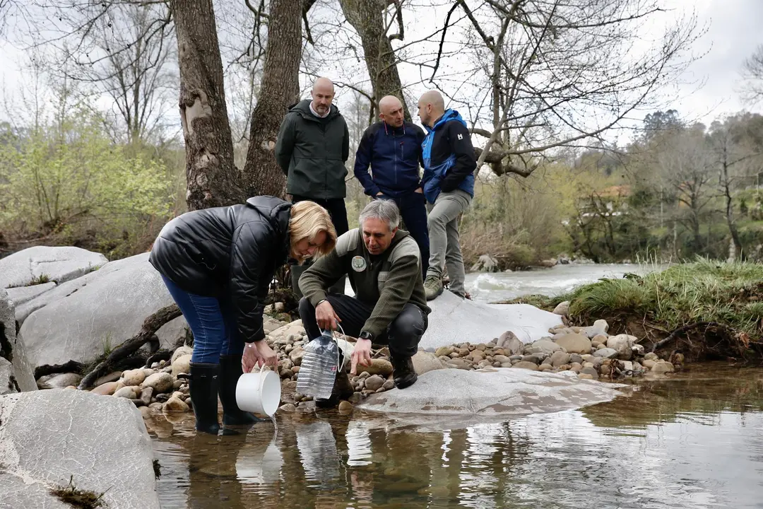 La consejera de Pesca, María Jesús Susinos, en la suelta de alevines de trucha en el río Pas