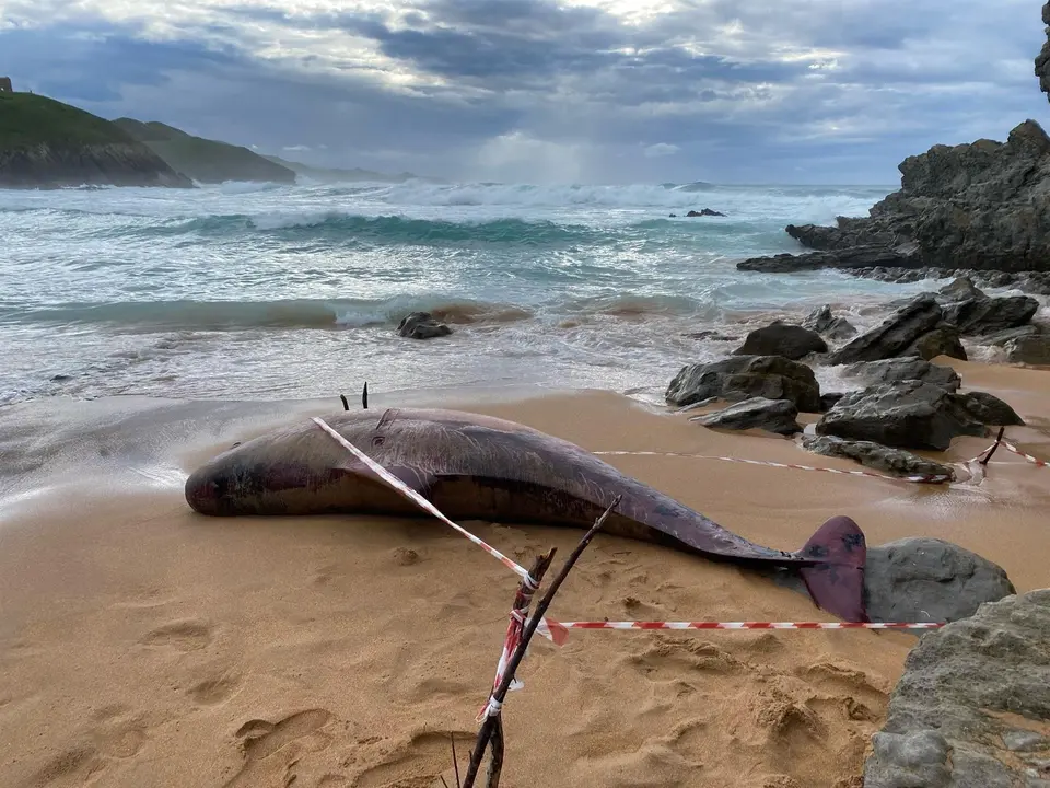 Calderón varado en Tagle