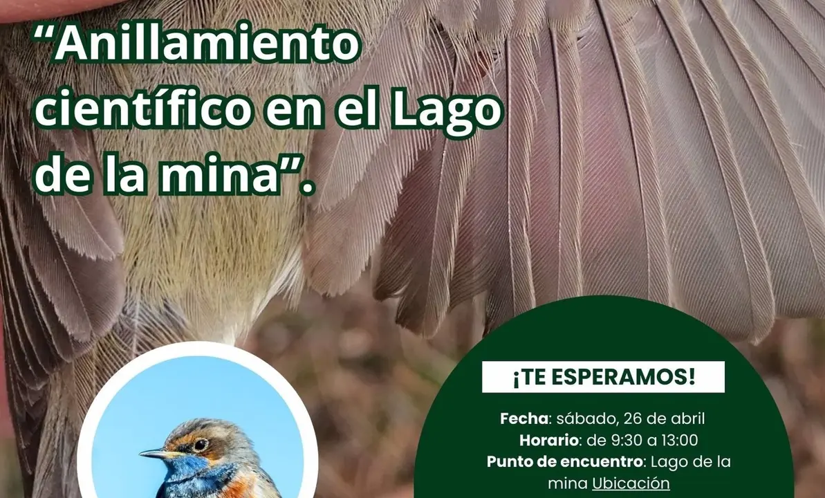 Cartel de la jornada de anillamiento de aves en el Lago de la Mina