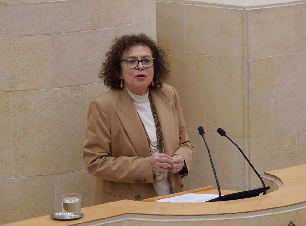 La portavoz regionalista en materia de Educaci&oacute;n, Teresa Noceda