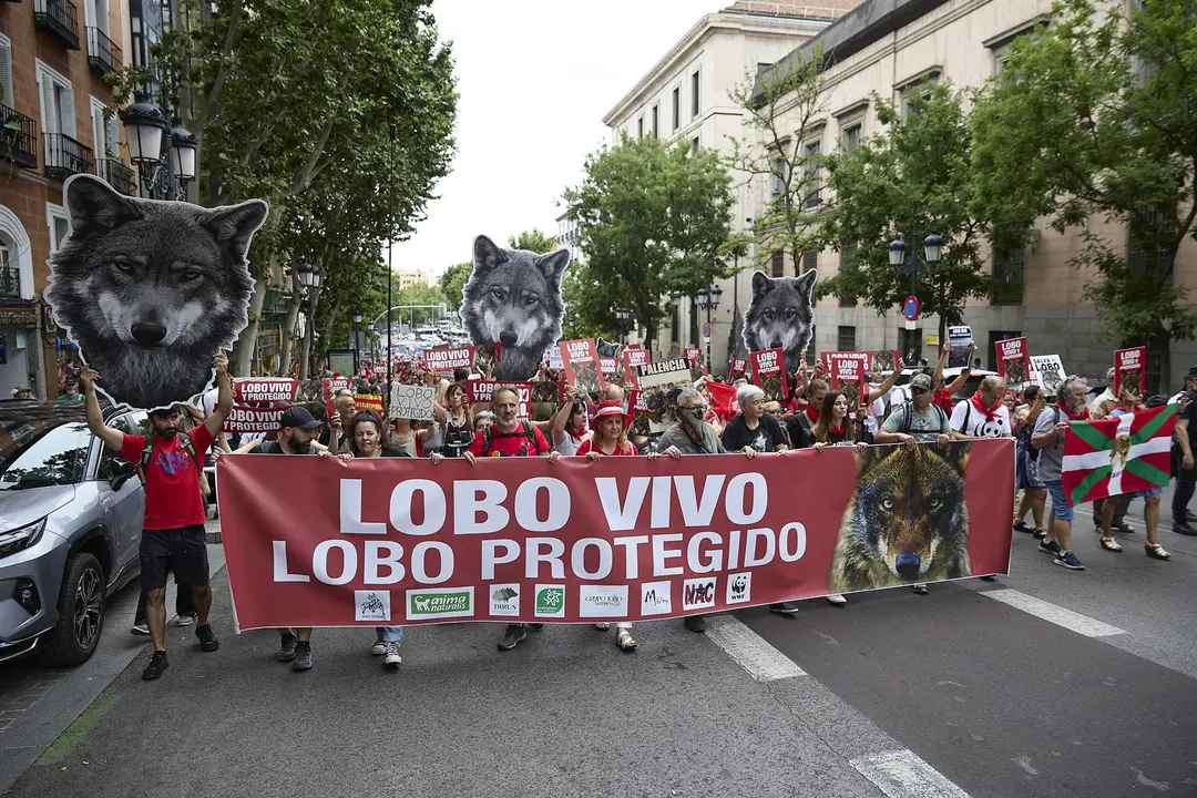 Varias personas durante una nueva manifestación para exigir la protección del lobo ibérico