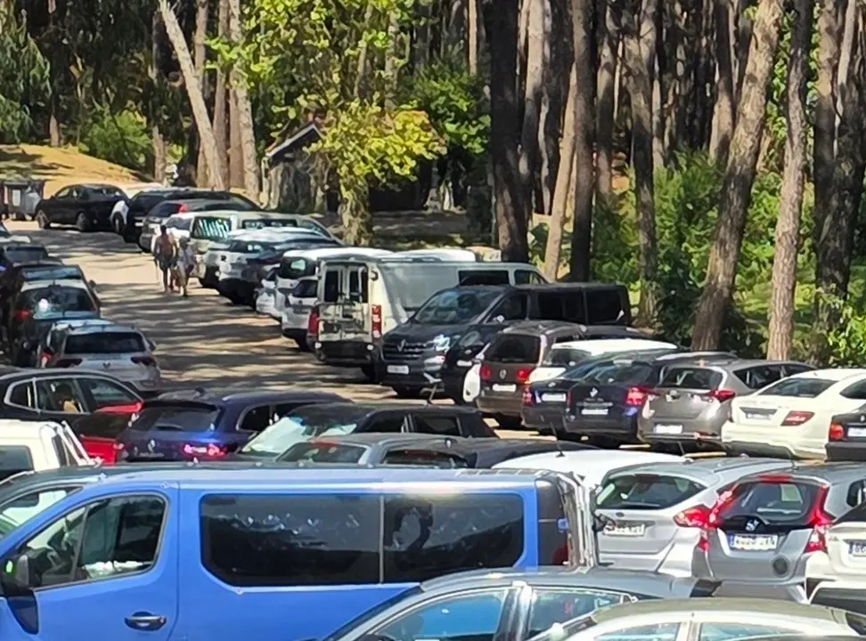 Coches estacionados en los pinares de Liencres