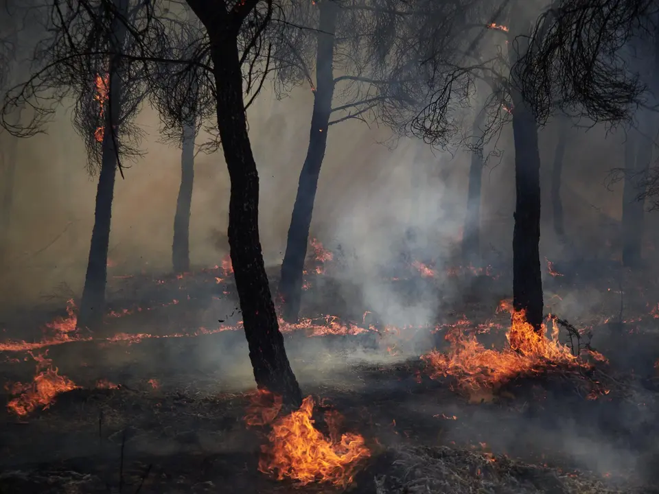 Foto de archivo de un incendio forestal en Cantabria