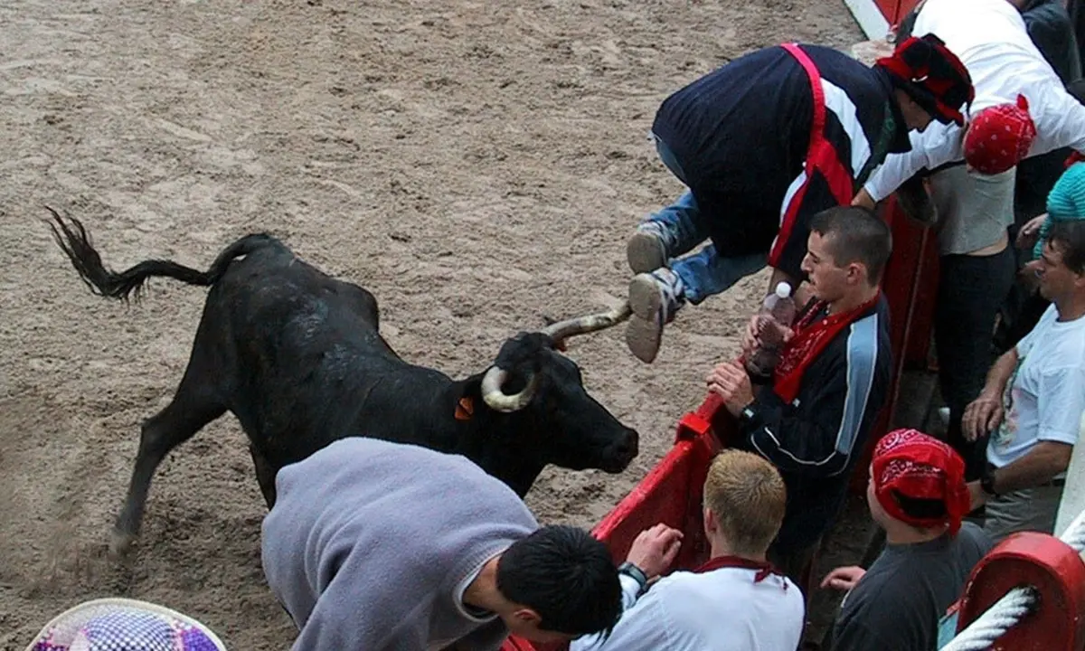 Plaza de toros