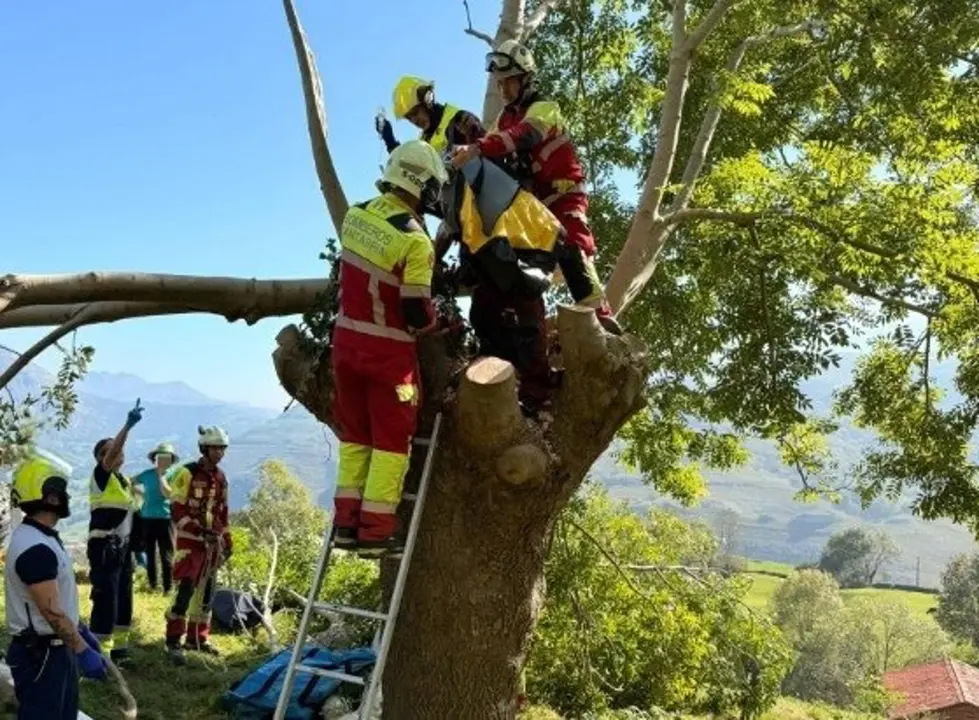 Rescatado un hombre de lo alto de un árbol en Ruesga porque se lesionó una pierna mientras lo talaba