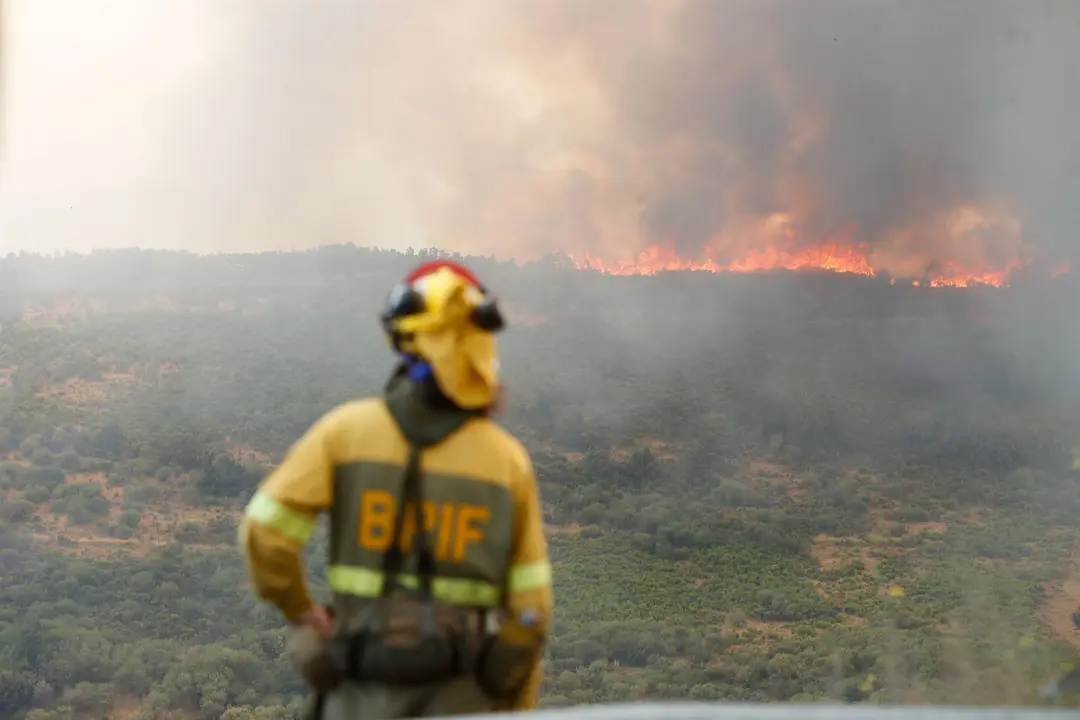 Un bombero observa el incendio forestal