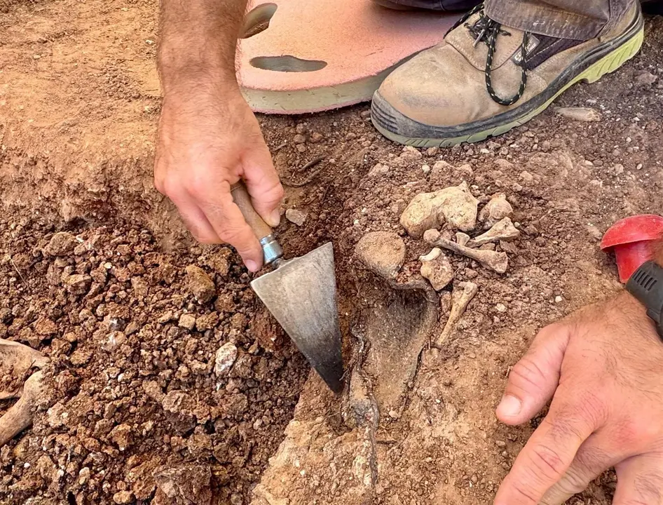 Trabajos de exhumación en un cementerio