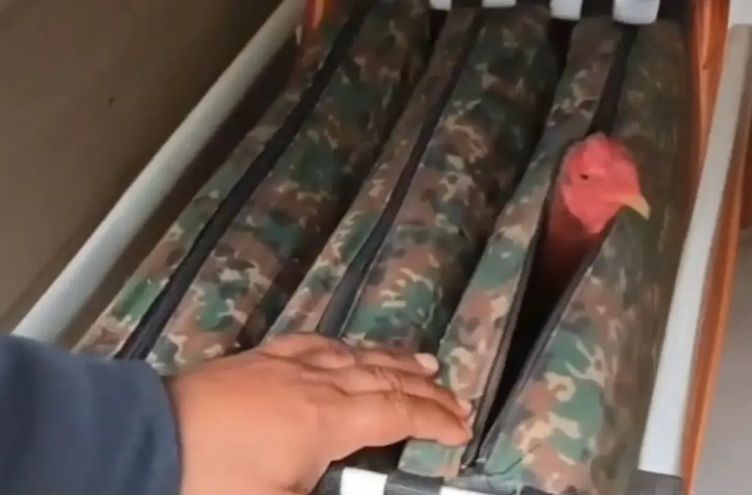 La Guardia Civil de Gipuzkoa intercepta en una furgoneta que se dirig&iacute;a de Cantabria a Francia 10 gallos de pelea