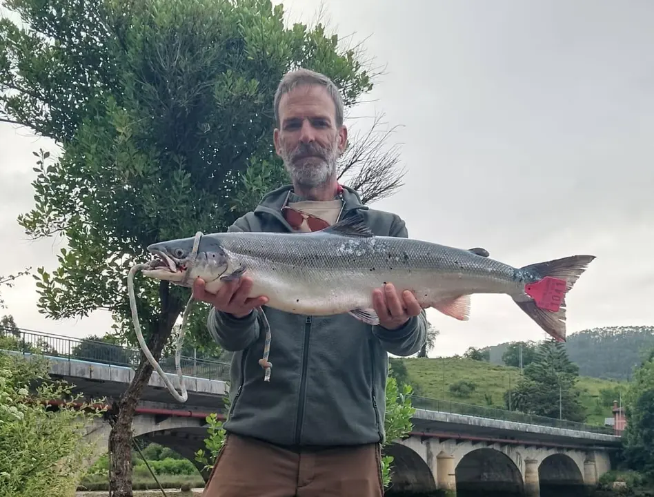 Un pescador asturiano captura en el río Nansa el 'campanu', de 4,7 kilos 