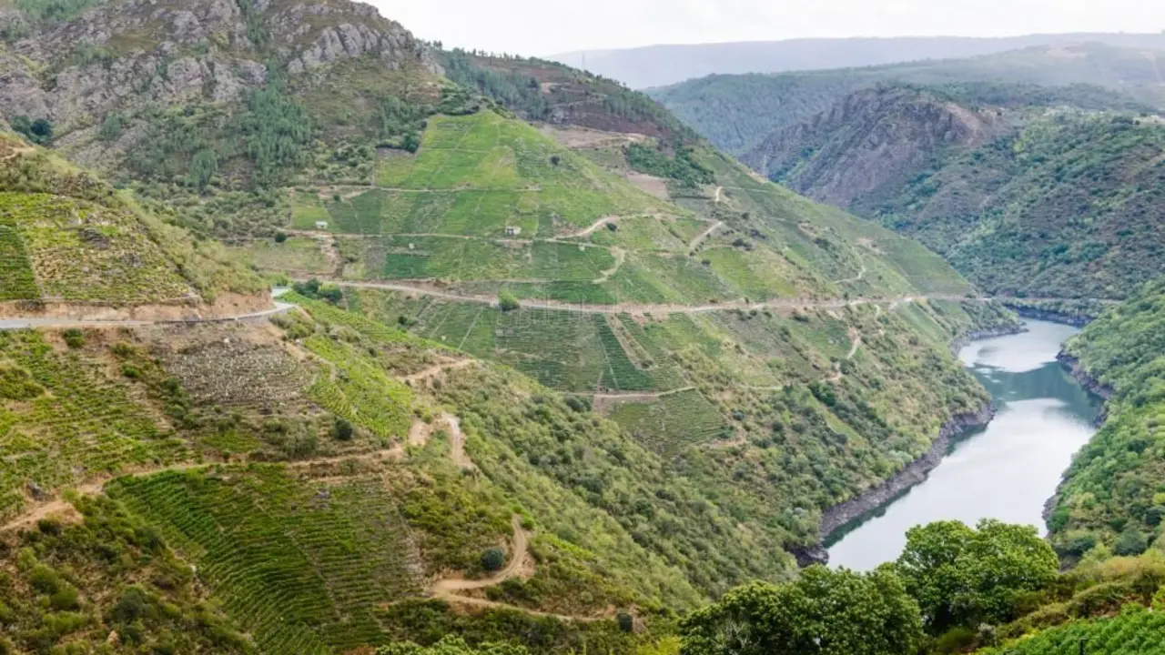 tren-turistico-ribeira-sacra_7587087