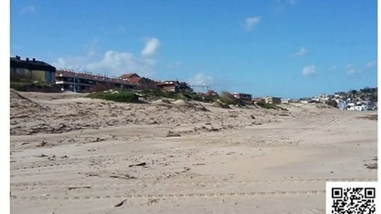 En esta primera fase, se llevar&aacute;n a cabo principalmente labores de limpieza y eliminaci&oacute;n de plantas invasoras