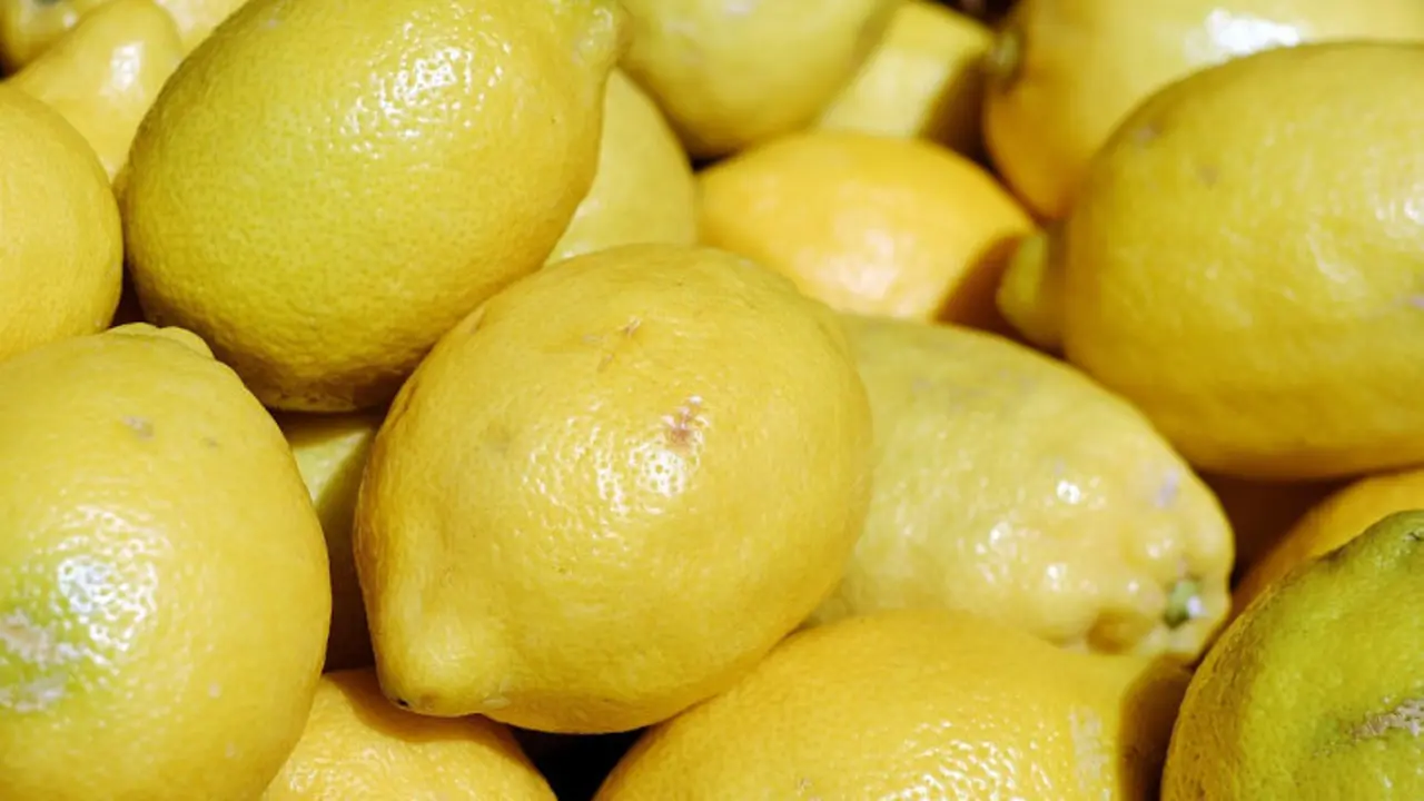 A la quinta edici&oacute;n de esta fiesta se han sumado m&aacute;s de 150 benefactores, que tomar&aacute;n parte de la subasta solidaria.