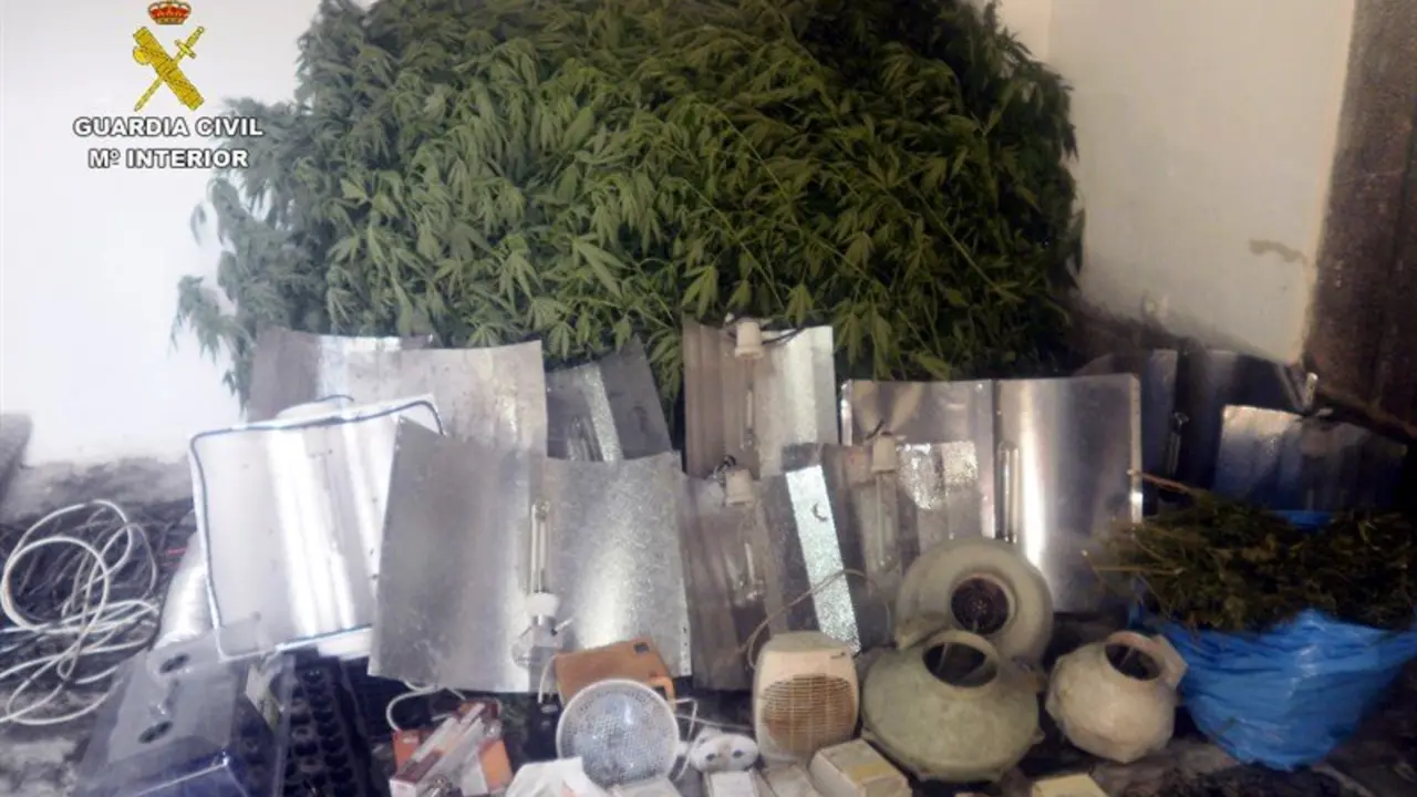 Detenido con marihuana en B&aacute;dames