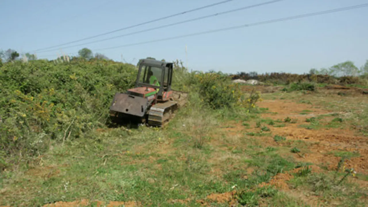 regeneracion_humedales