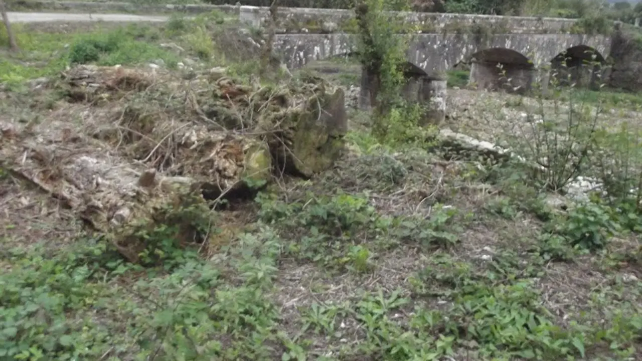 Ecologistas en acci&oacute;n