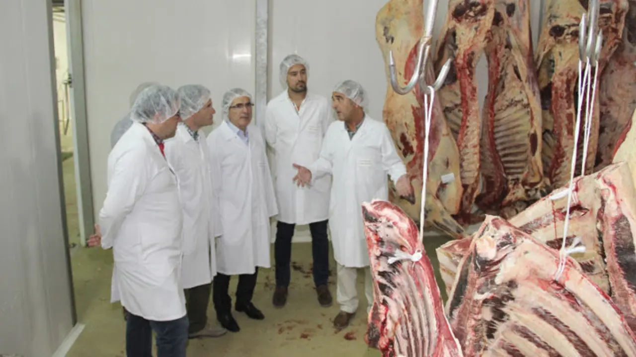 Matadero de Torrelavega