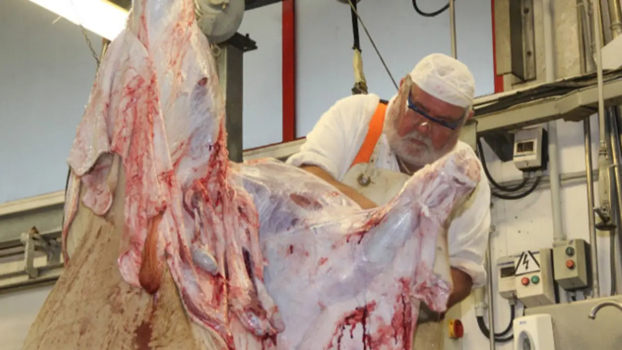 Instalaciones del matadero del Torrelavega