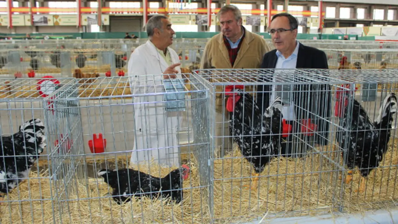 Feria Av&iacute;cola Torrelavega