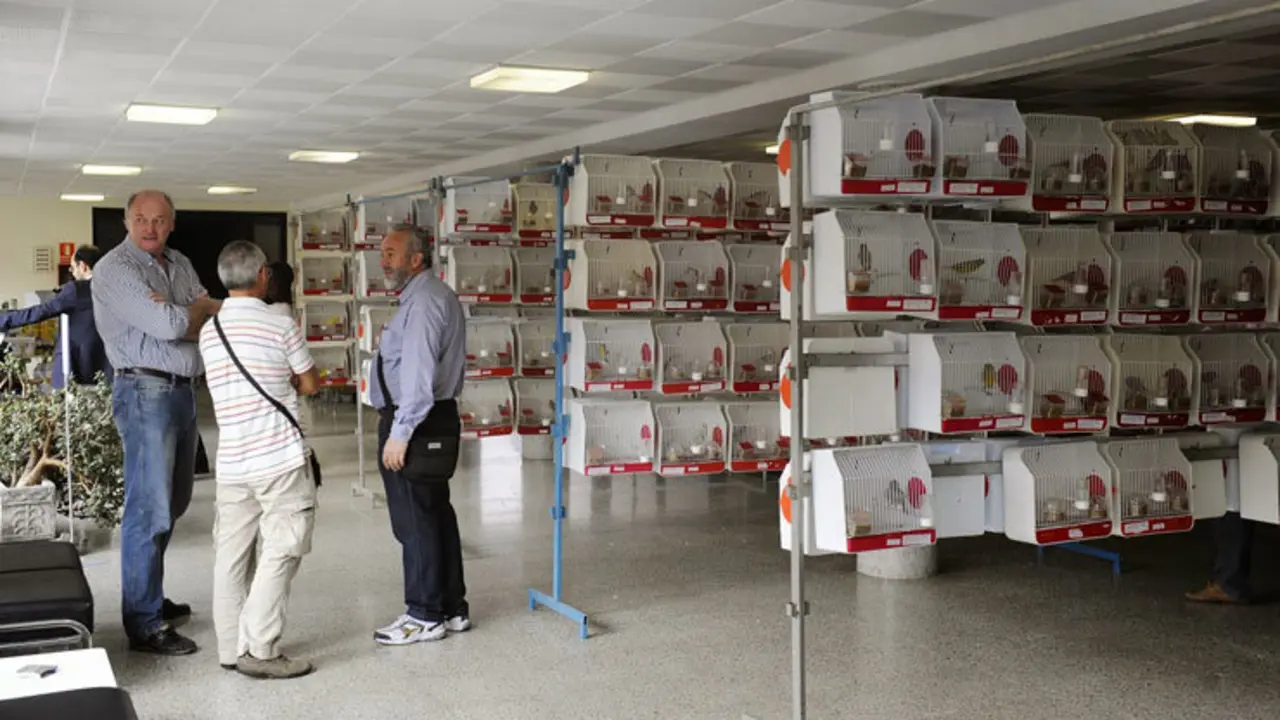 Concurso ornitol&oacute;gico