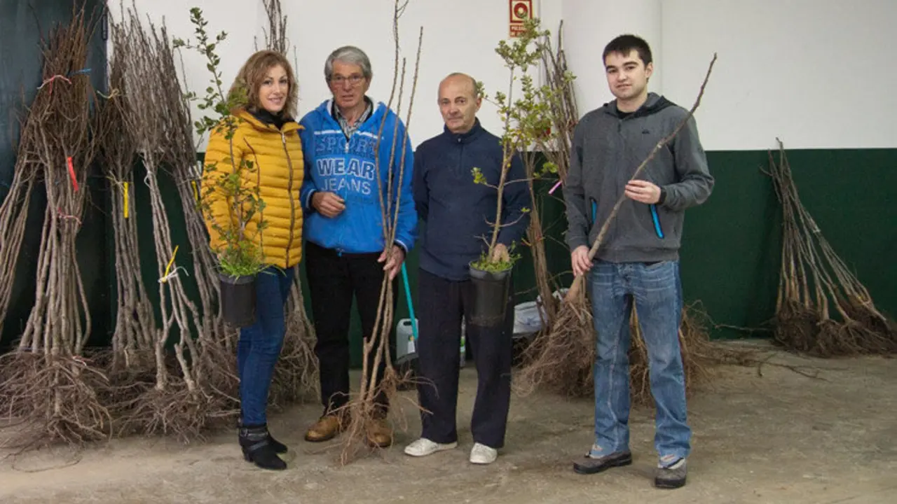 Reparto de &aacute;rboles