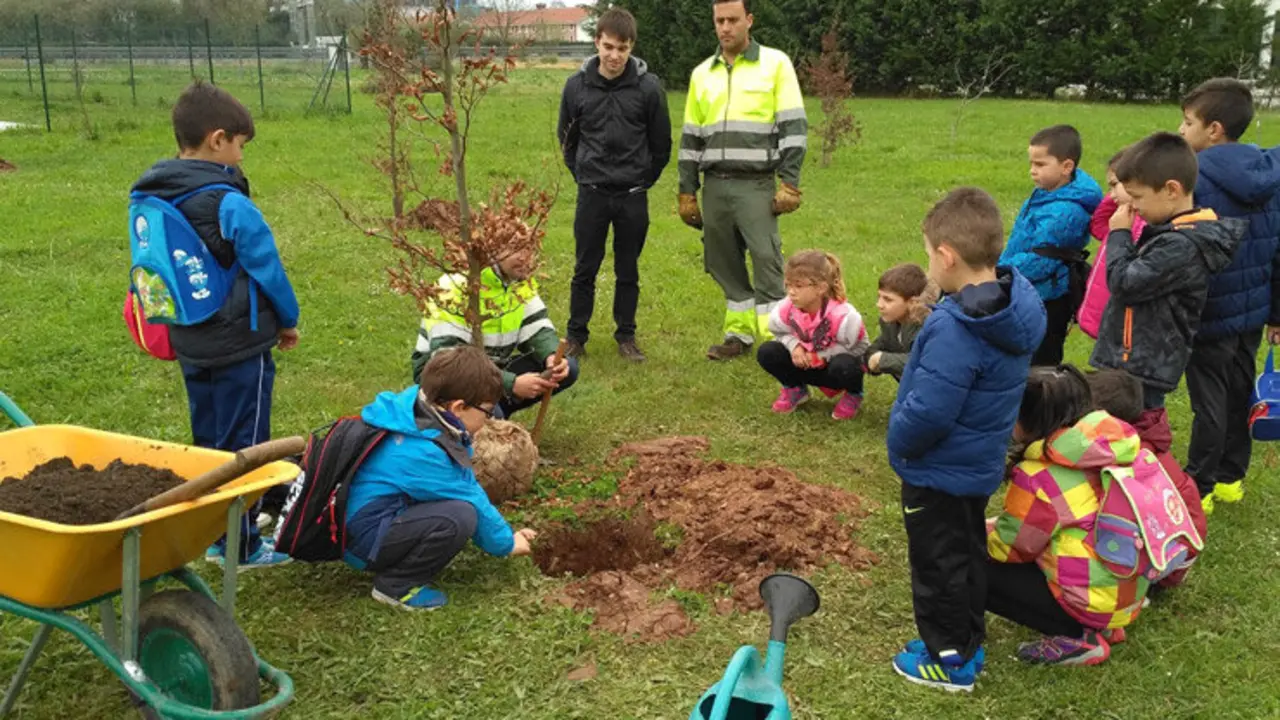 Plantaci&oacute;n por parte de los escolares